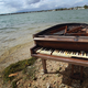 Illustration for article titled Piano mysteriously washes ashore under NYC's Brooklyn Bridge